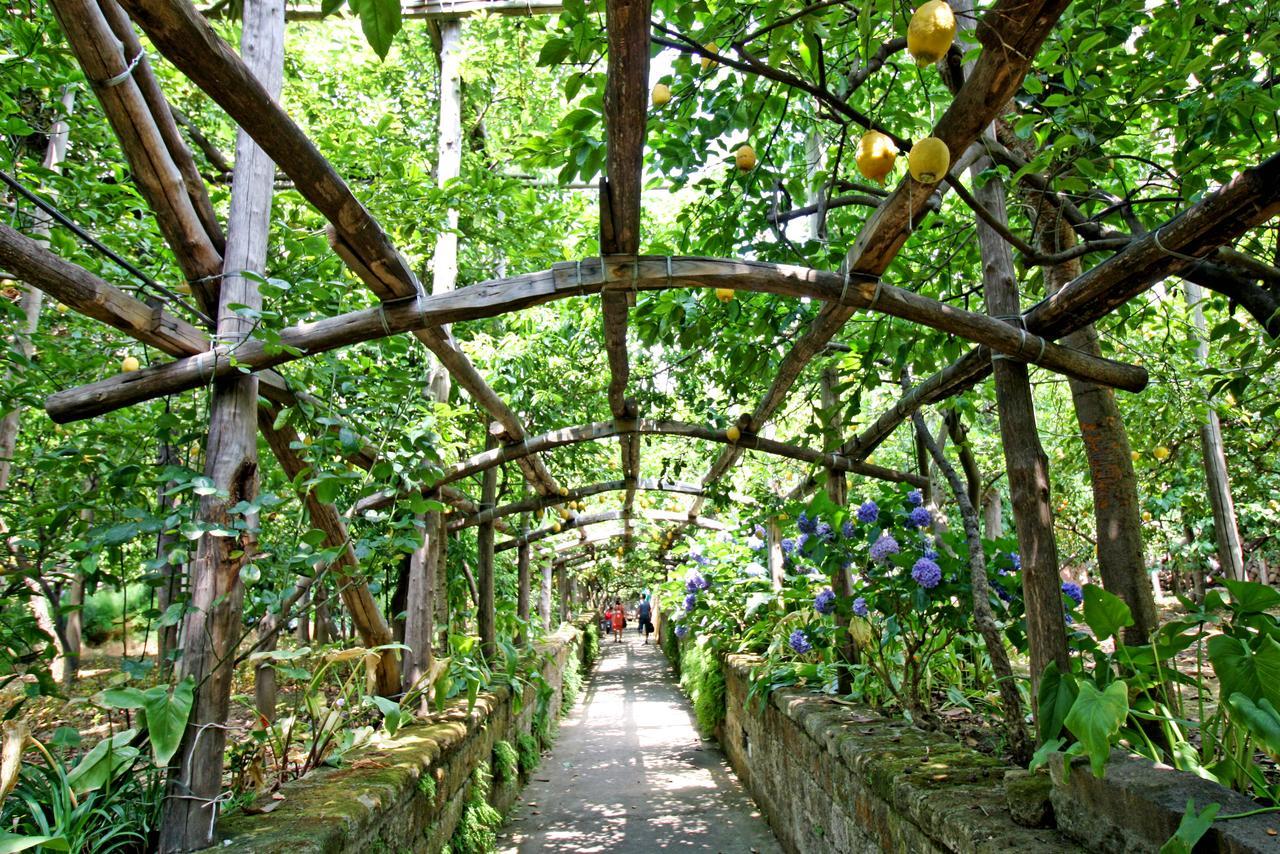 I Giardini Di Cataldo Sorrente
